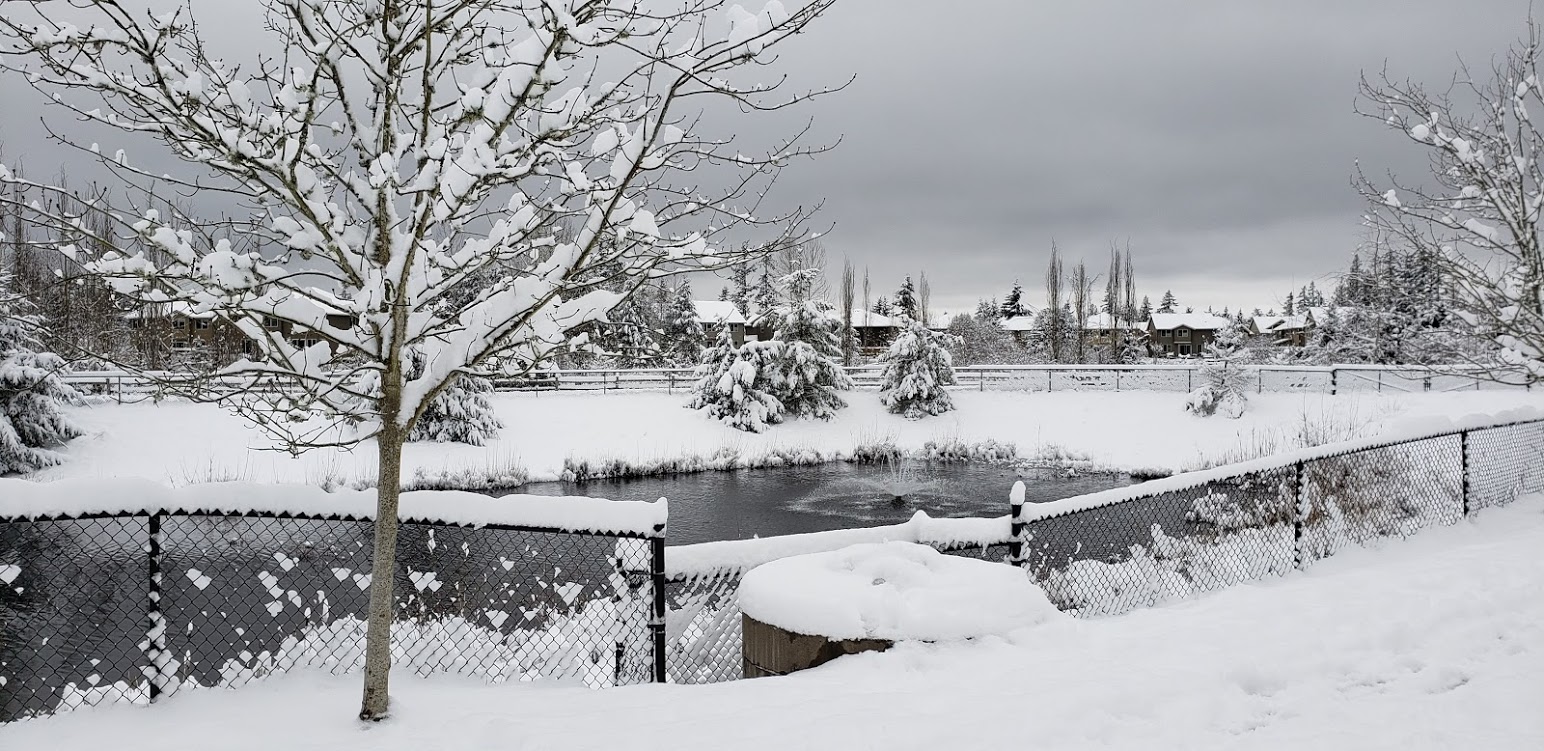 The Crossings at Pine Lake